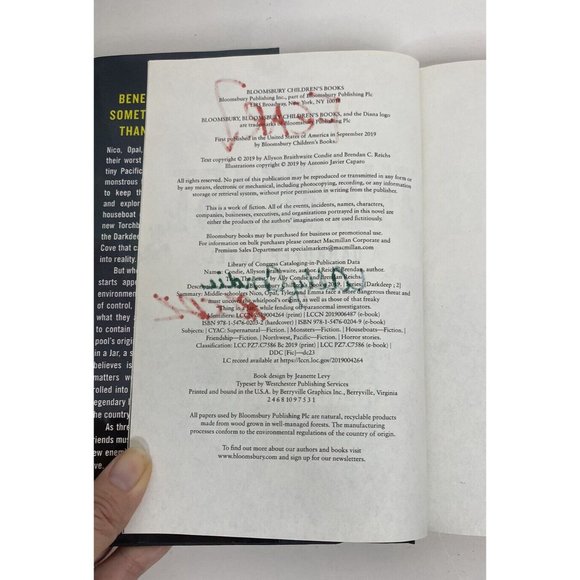 The Beast (The Darkdeep) Hardcover By Ally Connie  SIGNED by Author - Picture 4 of 9